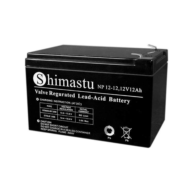 Mühürlü Kurşun Asit Akü 12V12Ah